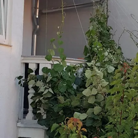 Nada Apartamento *