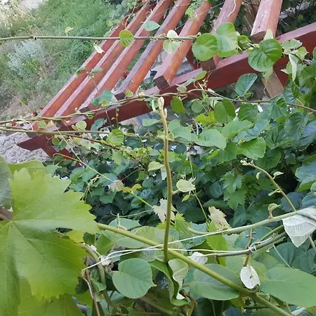 Apartamento Nada Novi Vinodolski