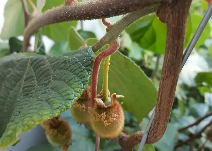 Apartamento Nada Novi Vinodolski