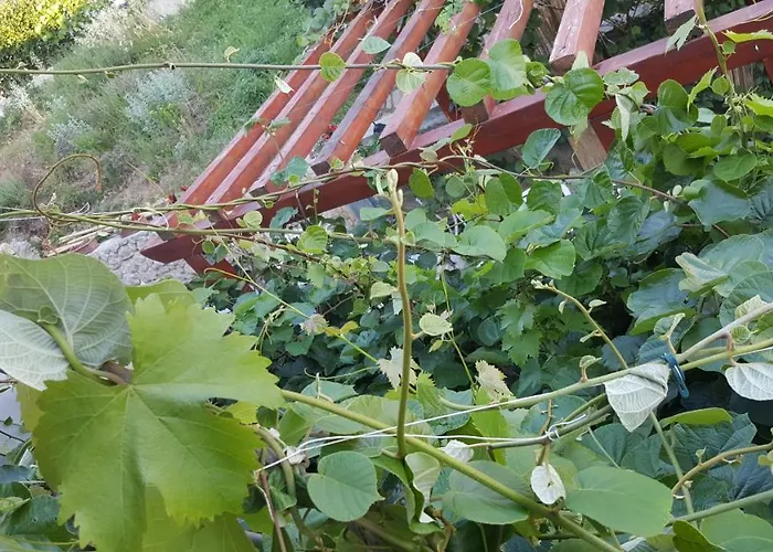 Apartamento Nada Novi Vinodolski